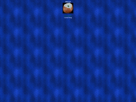 bkleaguechamp2022 screenshot