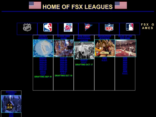 fsx screenshot