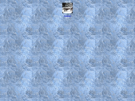 hockeypangaealeaguechamp2024-25 screenshot