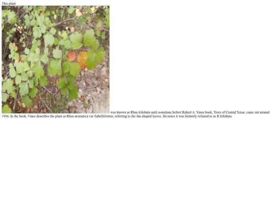 rhus screenshot
