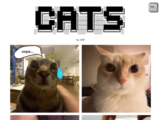 CATS screenshot