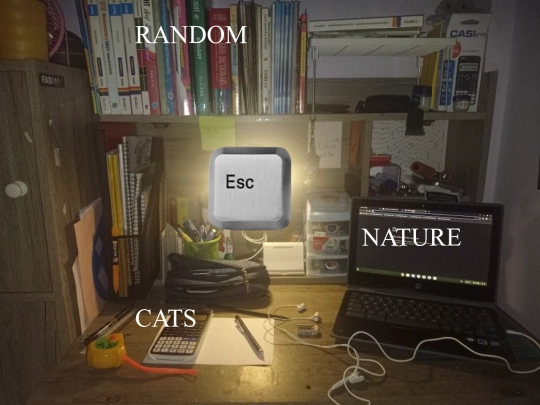 gallery screenshot