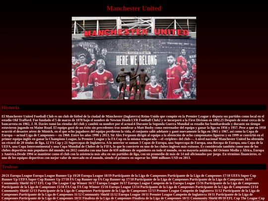 Proyecto Equipo/Inicio screenshot