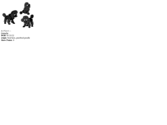 crew/dogs/ganache screenshot