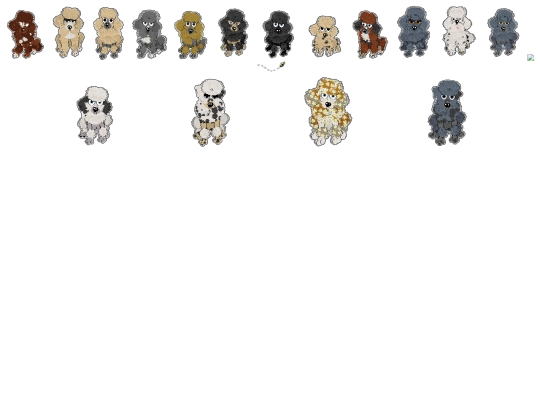 crew/poodle screenshot