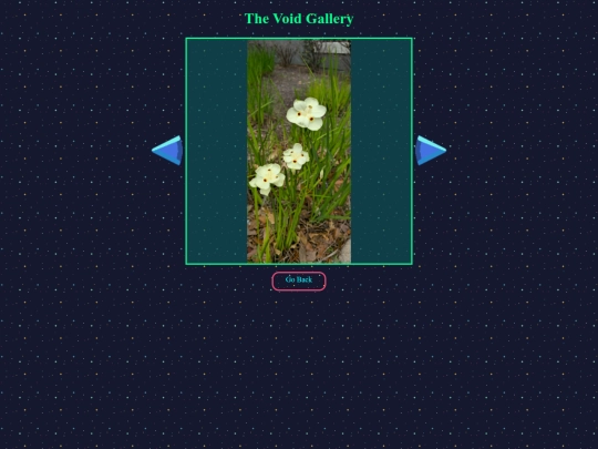 pages/gallery screenshot