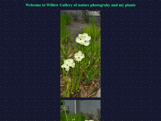 pages/members/willow screenshot