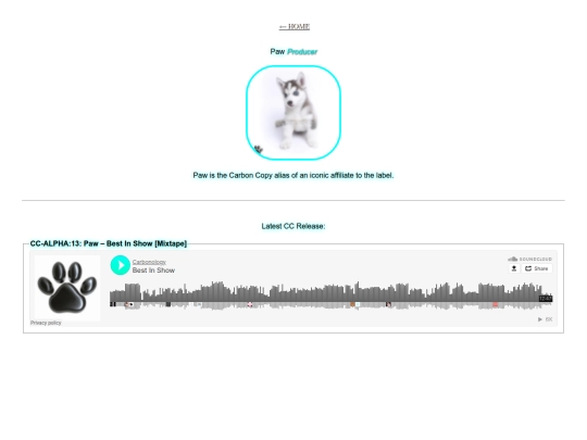 paw screenshot