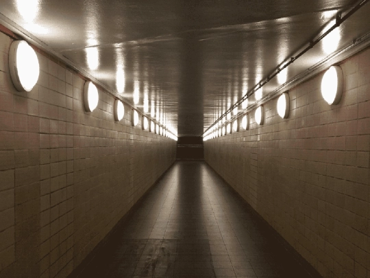 hall screenshot