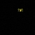 hyenasite.neocities.org avatar