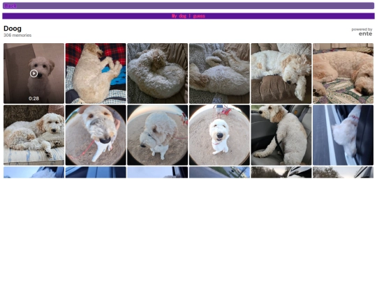 dog screenshot
