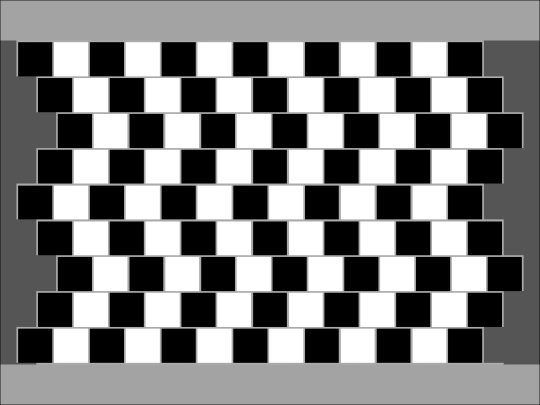 sample_programs/Café Wall Illusion.prod.run screenshot