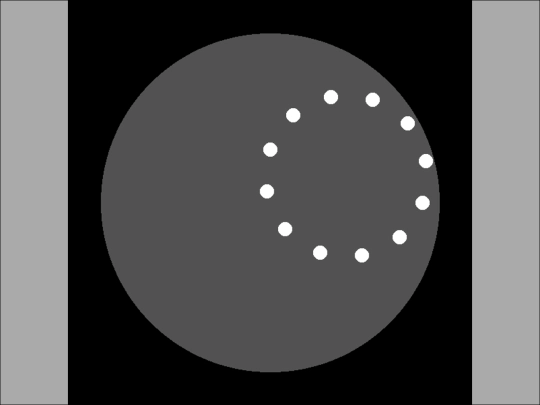 sample_programs/Spinning Dots Illusion.prod.run screenshot