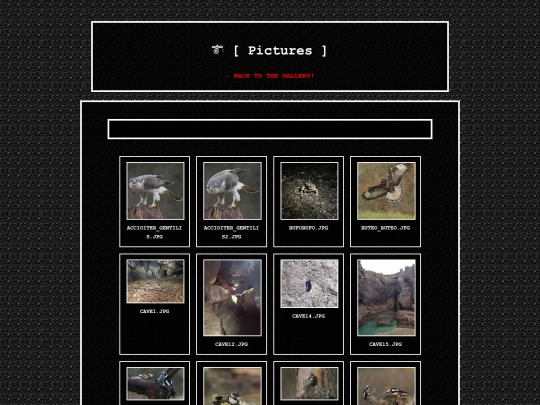 -pictures- screenshot