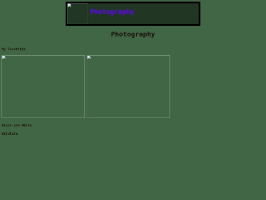 photography screenshot