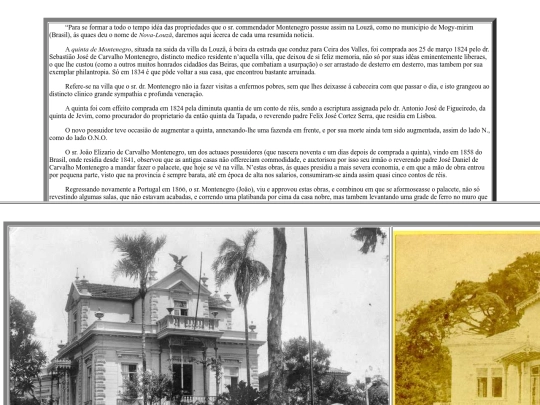 PMontegro_Chales screenshot