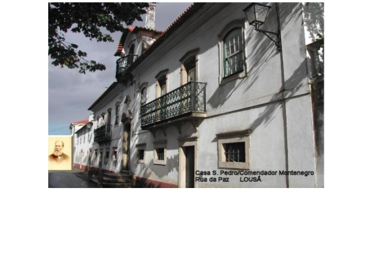 centro1 screenshot