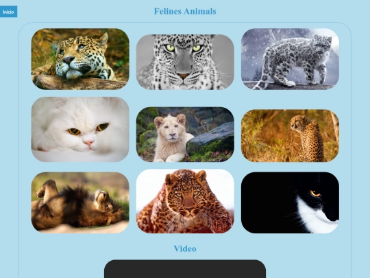 Multimedia/felines screenshot