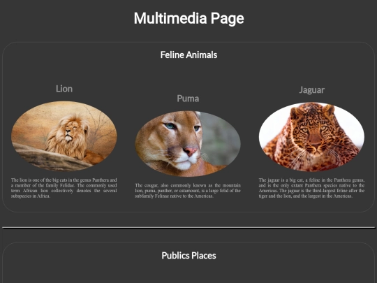 Multimedia screenshot