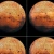 2541313.neocities.org avatar