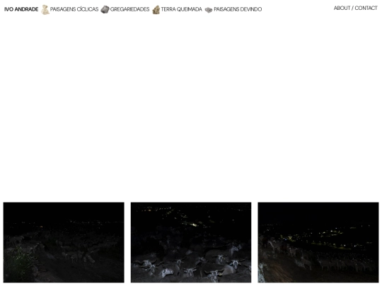gregariedades screenshot