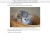 undefinedcat.neocities.org avatar