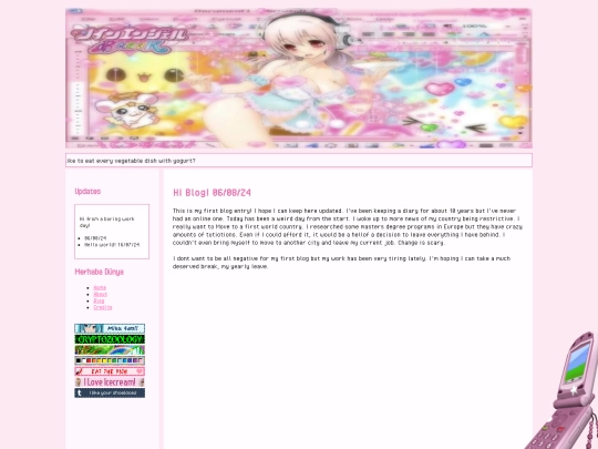 blog screenshot