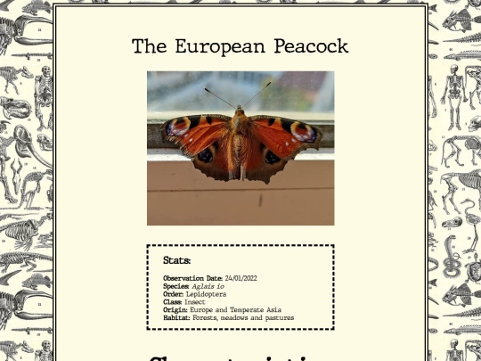 biology/EuropeanPeacock screenshot