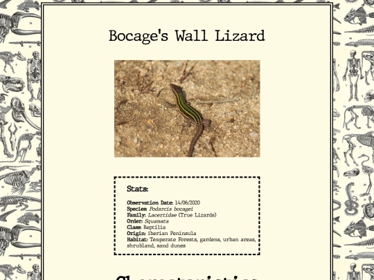 biology/bocagelizard screenshot