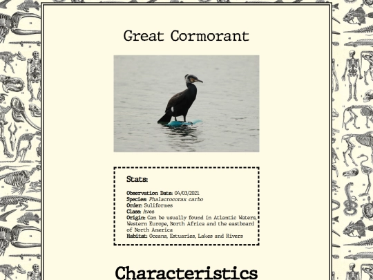 biology/cormorant screenshot