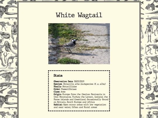 biology/wagtail screenshot