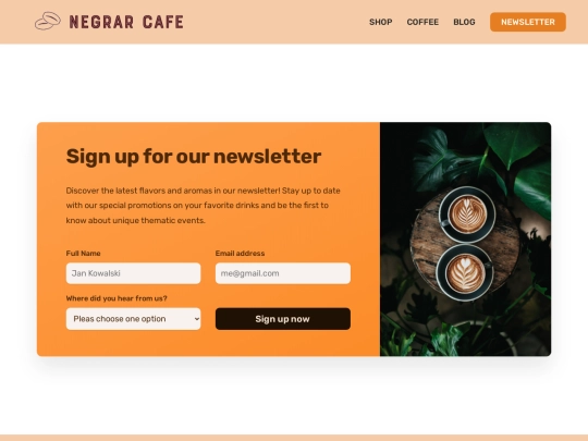 newsletter screenshot