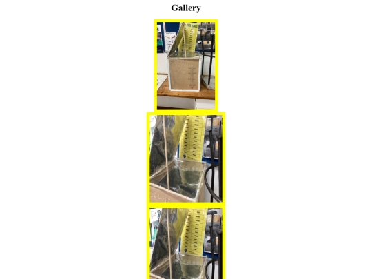 images screenshot