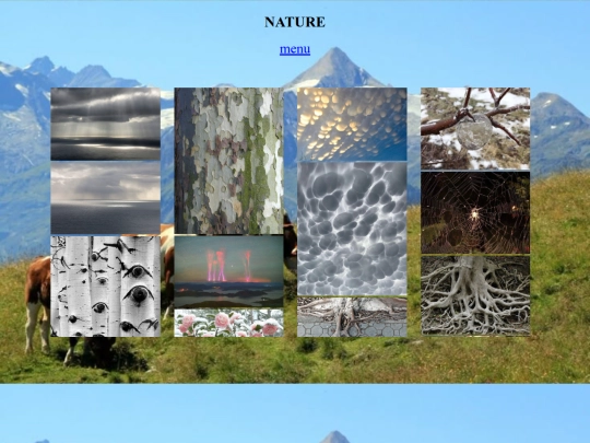inspogarden/nature screenshot