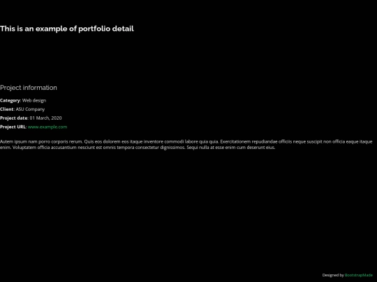 portfolio-details screenshot