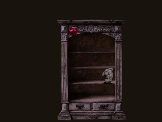 bookcase screenshot