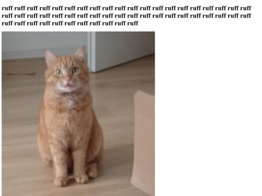 mraow screenshot