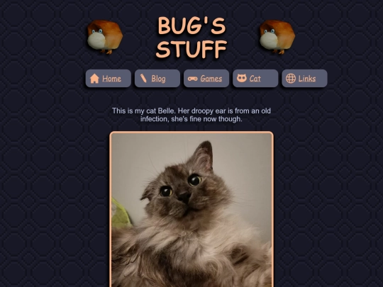 cat screenshot