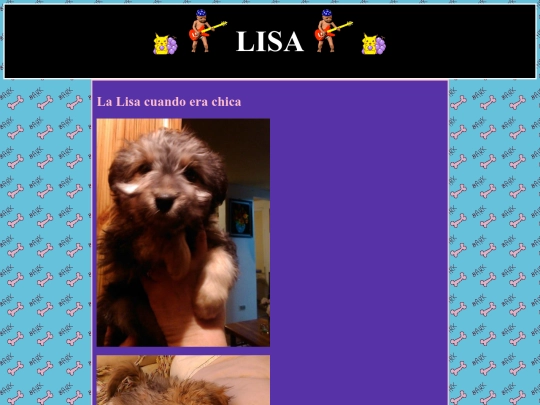 lisa screenshot