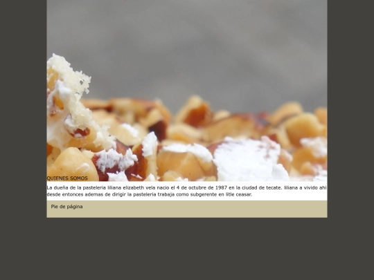 PAGINAS/quienes somos screenshot