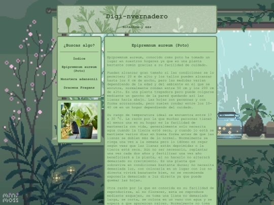 Epipremnum_aureum screenshot