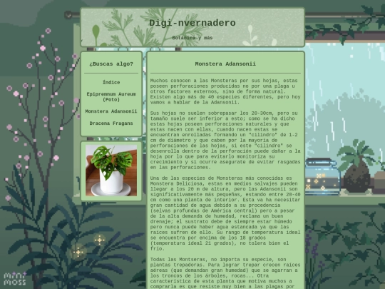 Monstera_adansonii screenshot