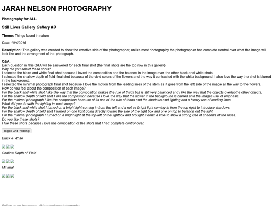 still_lives screenshot