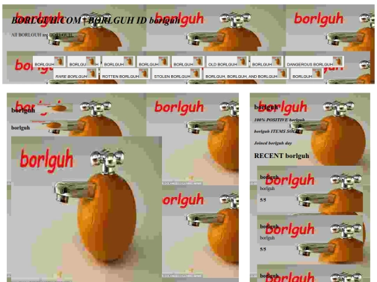 non-main pages/pagtrader/SCAMS/borlguh screenshot