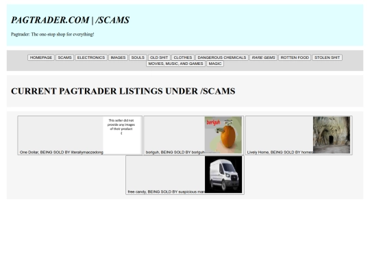 non-main pages/pagtrader/scams screenshot
