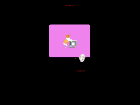 randomcoding screenshot