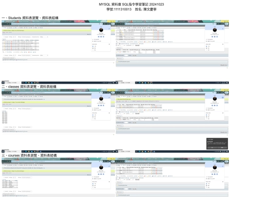 1111310013 screenshot