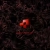 LUDROOM avatar