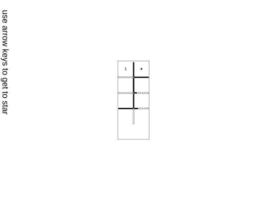 maze screenshot