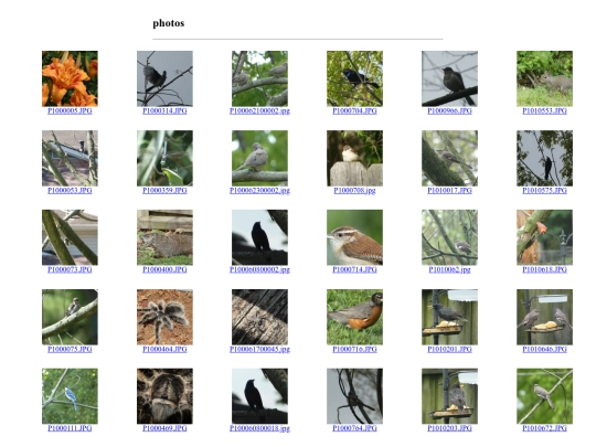 photography screenshot